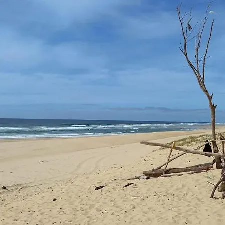 Spacious House With Garden