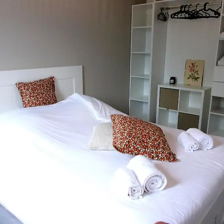 Spacious House With Garden