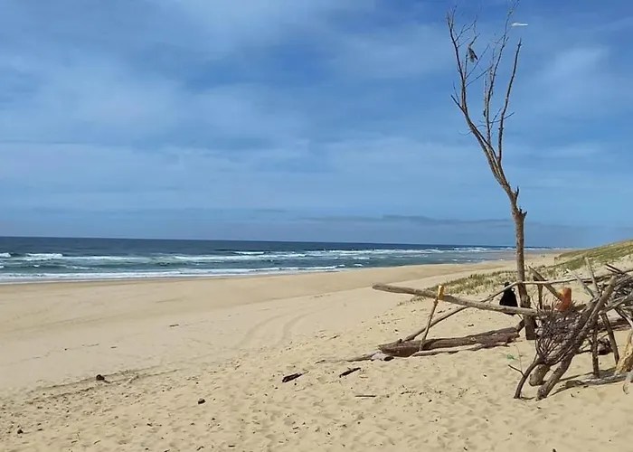 Spacious House With Garden